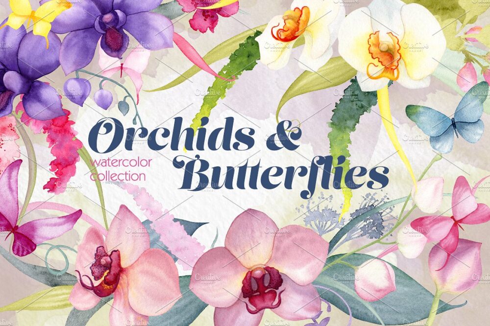 watercolor orchid flowers and butterflies